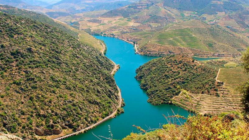 Discover the Douro Region in Portugal